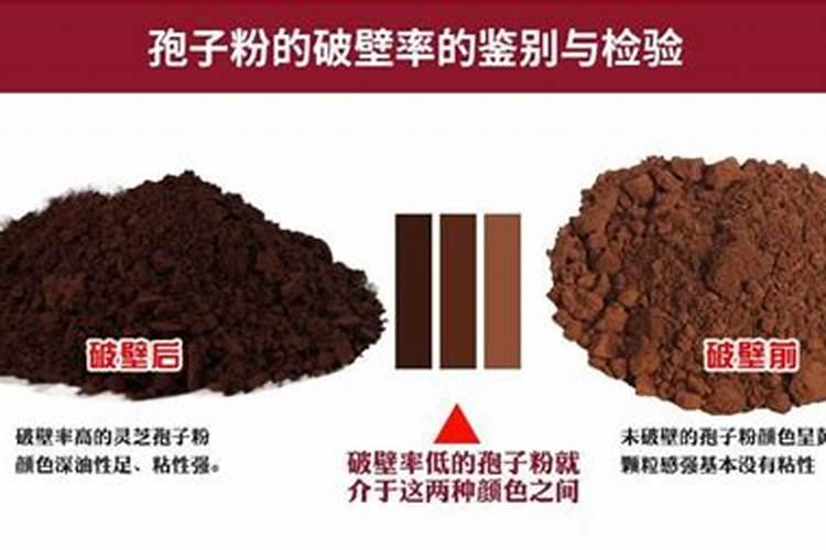 草莓定植后适合用什么肥料