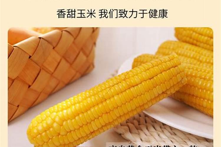 鲜食的甜、糯玉米如何进行育苗栽培？
