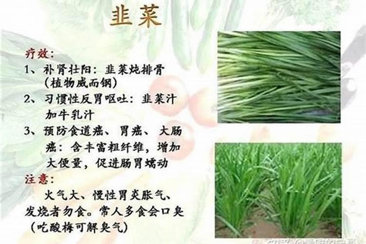 韭菜用什么肥料长得旺