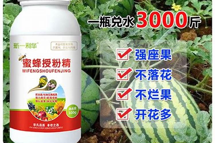 果树掉果打什么药保果