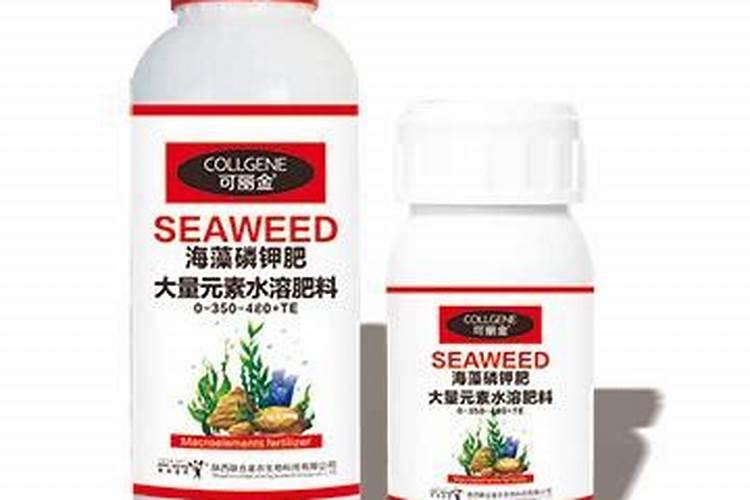 海藻肥是什么肥？了解海藻肥的作用