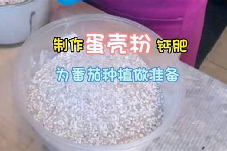 蓝莓施肥用什么肥料