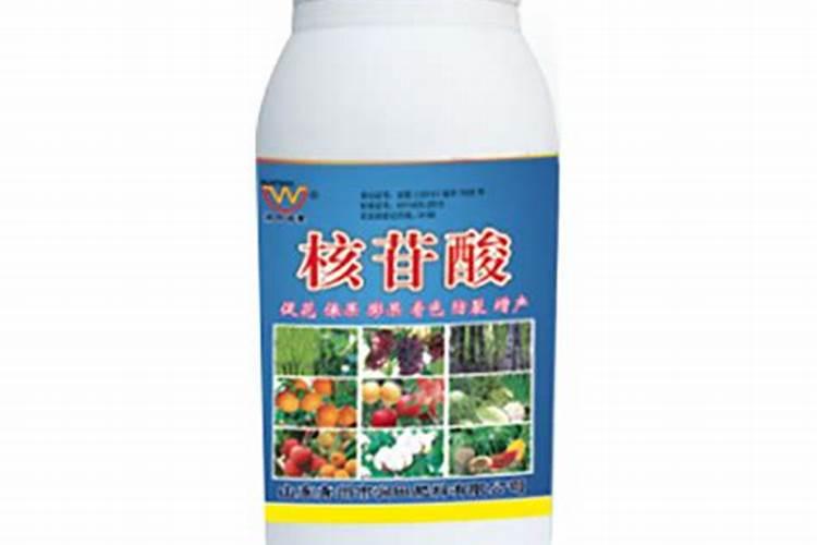荔枝果树抽冬梢后喷施什么叶面肥