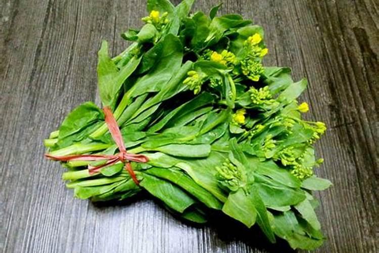 油菜开花时能不能喷芸苔素