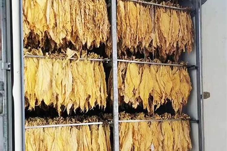 芸苔素和膨大素一样吗