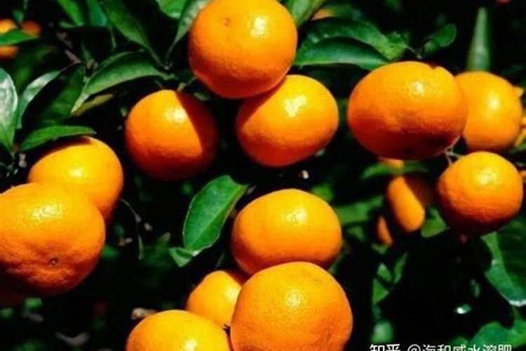 硼肥的最佳使用时期