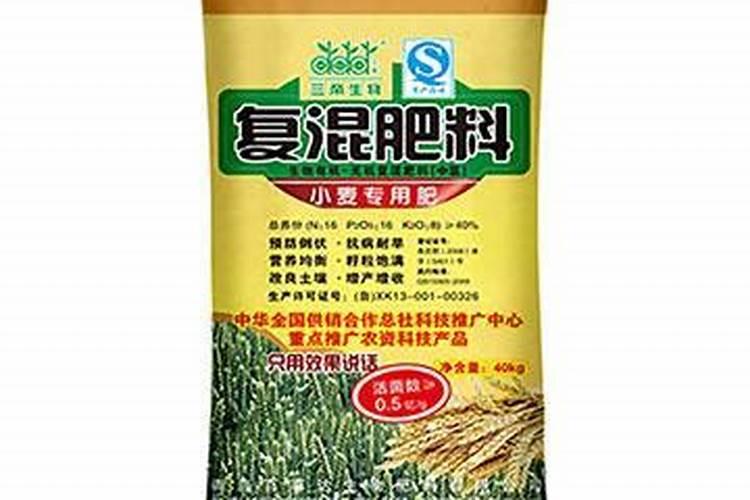 水果豌豆多久浇一次水
