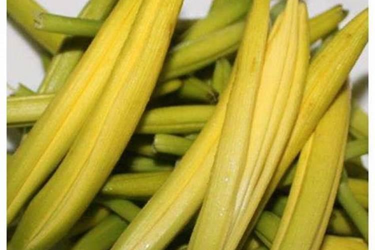 黄花菜正确施肥方法