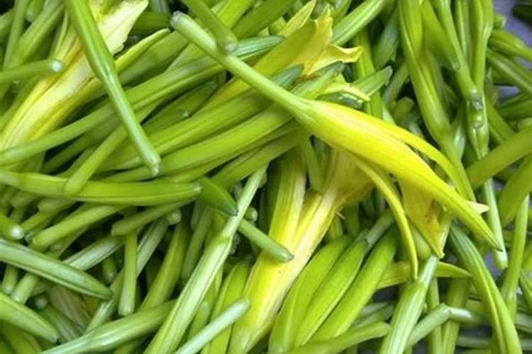 黄花菜正确施肥方法