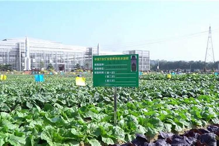 什么水溶肥最好