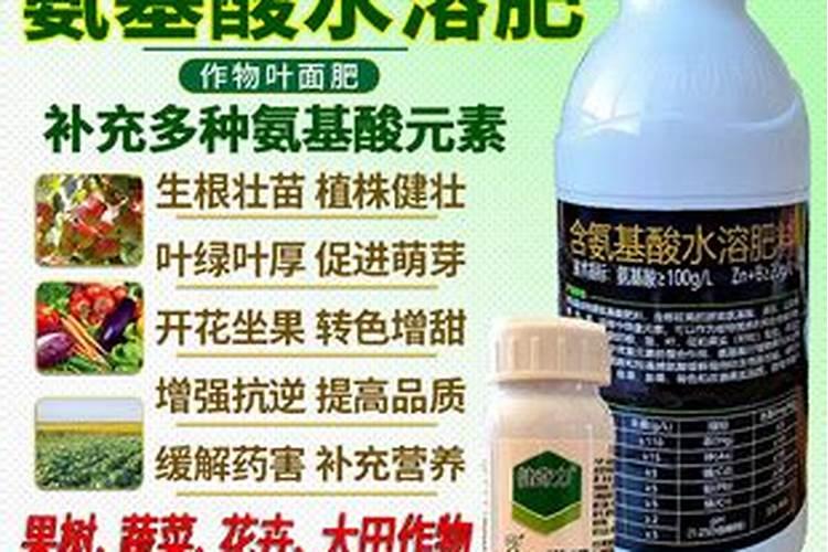 水溶肥价格多少钱一吨 如何选购优质的水溶肥料
