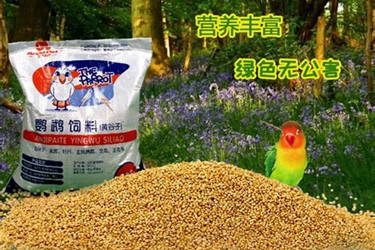 花生打药的最佳时间