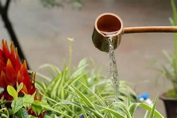 番茄在整个生长期需要施肥几次？分别在什么时期进行？