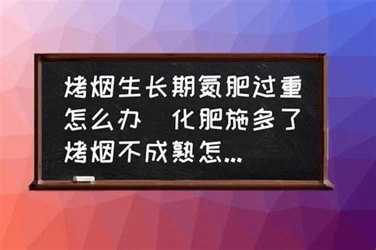 西红柿不同生长阶段的施肥计划