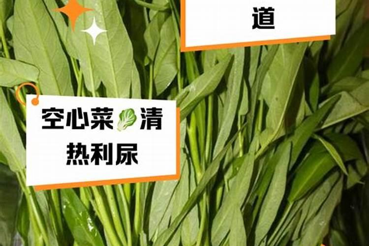 通心菜的种子怎样种植呢