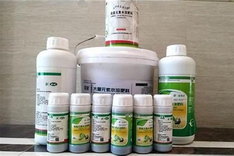 水溶肥一般几天见效