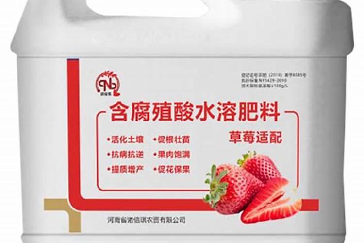 大棚草莓底肥怎么施？草莓上什么肥料产量高？草莓底肥就用矿源黄腐酸钾...
