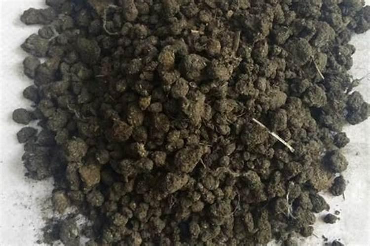 莲藕几月份打膨大素