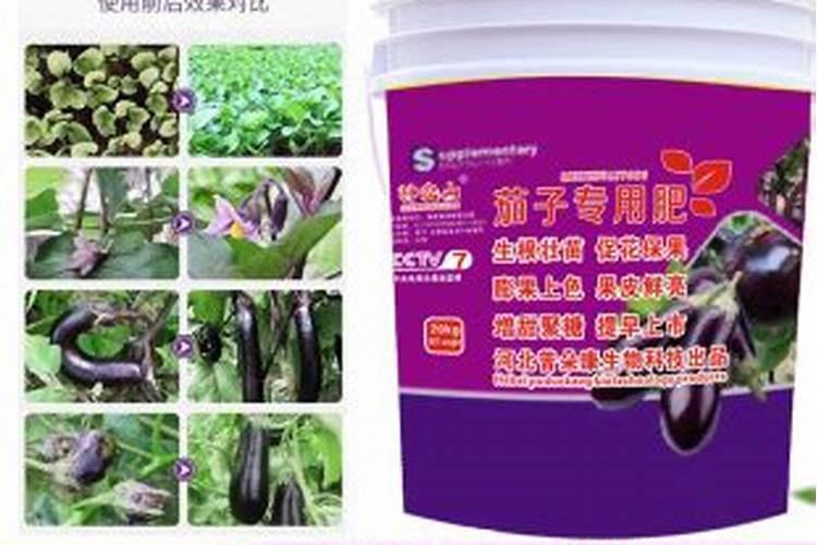种茄子用什么肥料最好