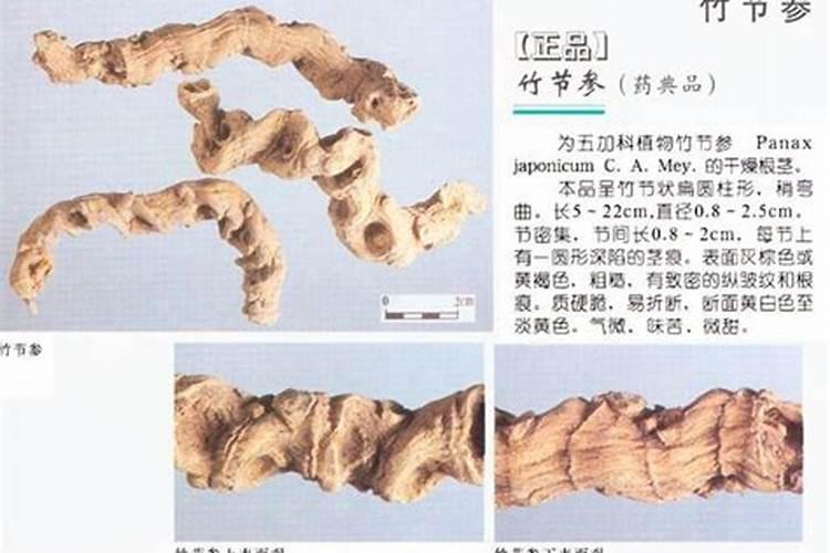 它被誉为“草药王”,亩产1000斤,一斤卖120元,10亩地年入百万!百度知 ...