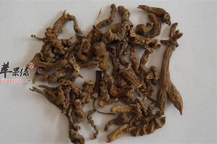 竹节参一亩产多少斤