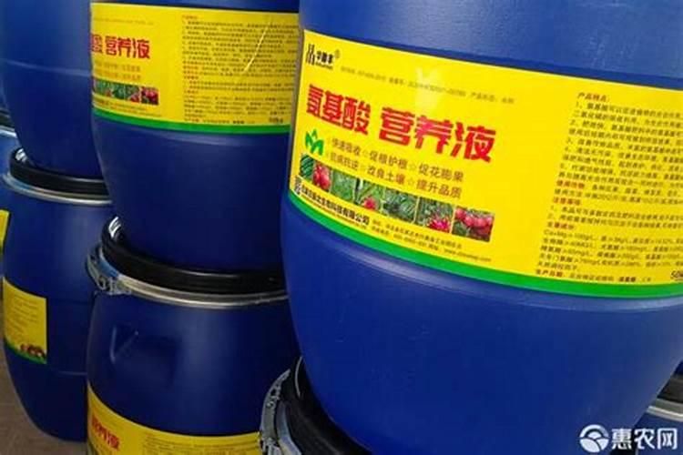 梨树施肥时间梨树什么时间施肥？