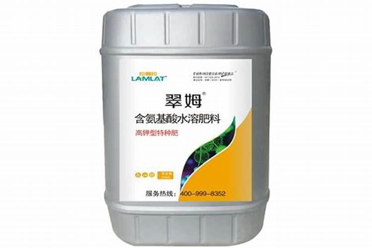 适合和月季一起种的植物