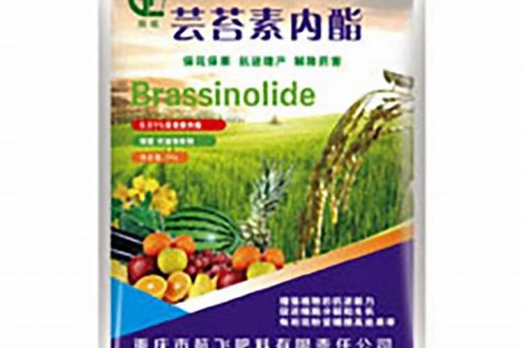 玉米增产套餐有哪些配方