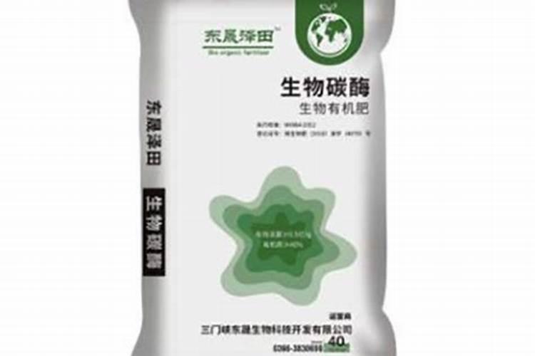 河南三门峡特产:雏鹰黑猪