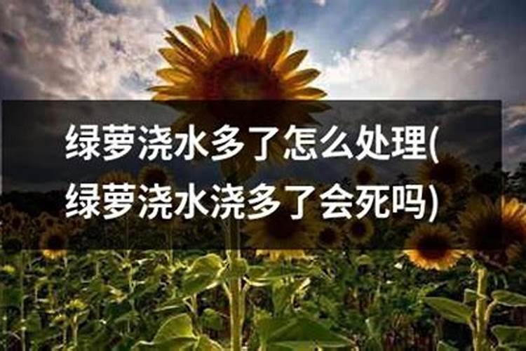 水溶肥浓度高了对植物有伤害吗