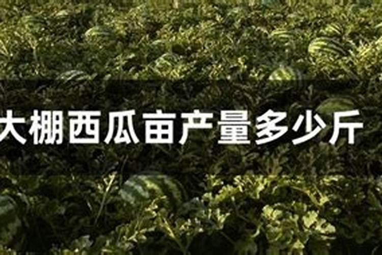 种西瓜用什么肥料,一亩地用多少