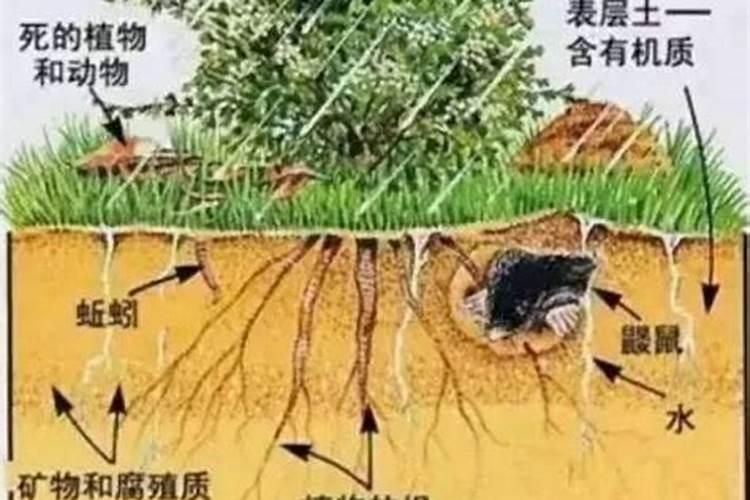 农用颗粒硫酸钾为什么不能冲施,而且放水里不怎么融化？