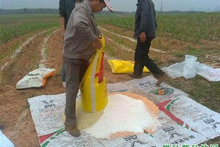 阳光玫瑰葡萄用羊粪做冬肥可以吗？