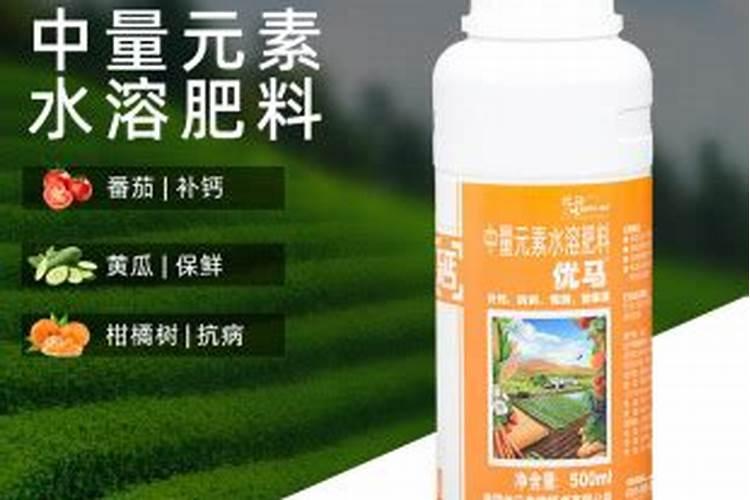 生长中的苦瓜在秧上长白毛能防治吗？请看图片。