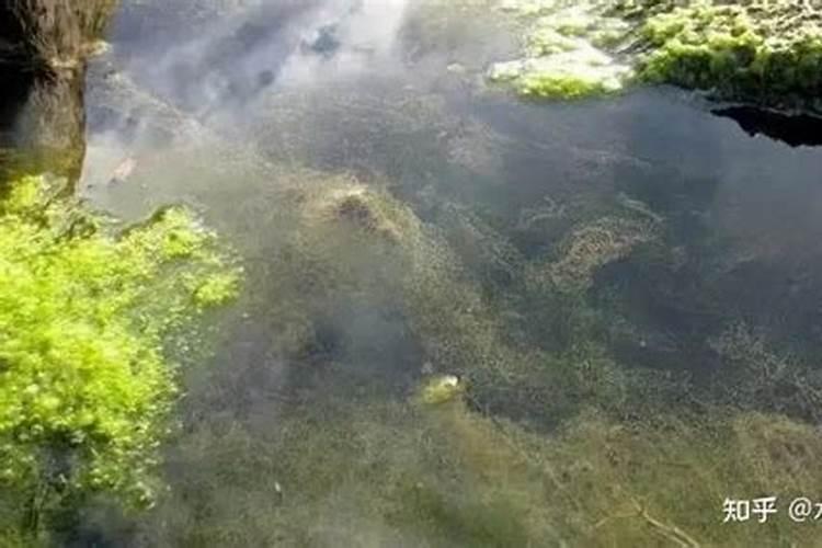 油菜缺少氮、磷、钾等元素会怎么样？