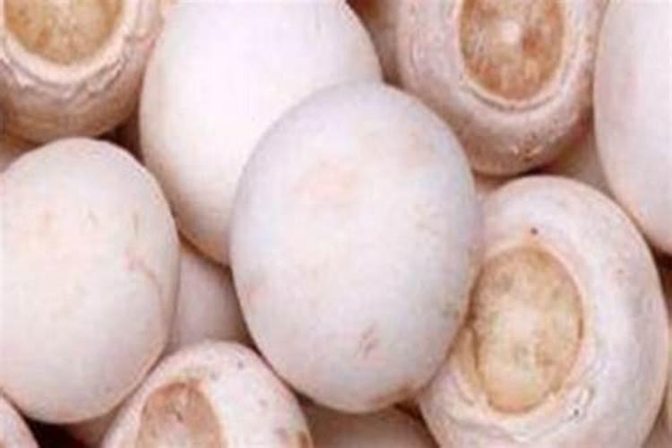 金多喜珠宝是品牌店吗