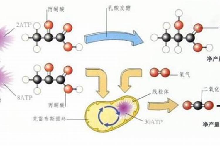 “黑风暴”水溶肥添加天然作物刺激素是不是和激素有关系？