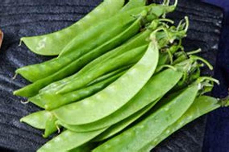 荷兰豆叶子发黄是什么情况