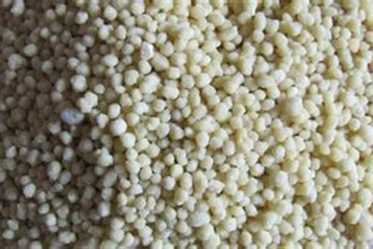 种草籽的时候能不能撒复合肥料
