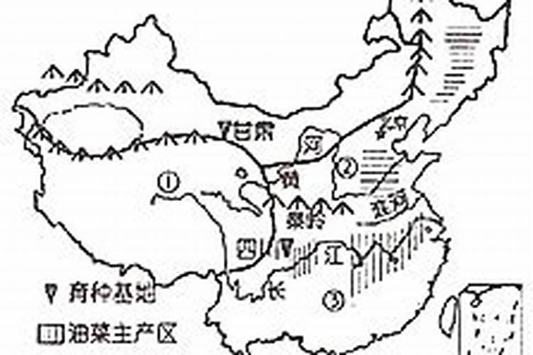 钾肥用作底肥集中施用于种油菜有益吗？