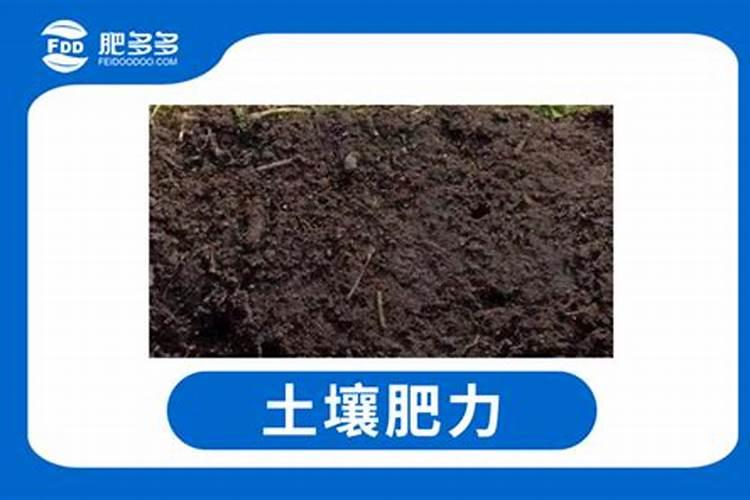 苹果有几种产地在哪有什么营养