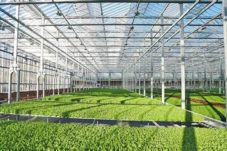 大棚西瓜用的冲施肥是多少次性投入还是一次性投入？