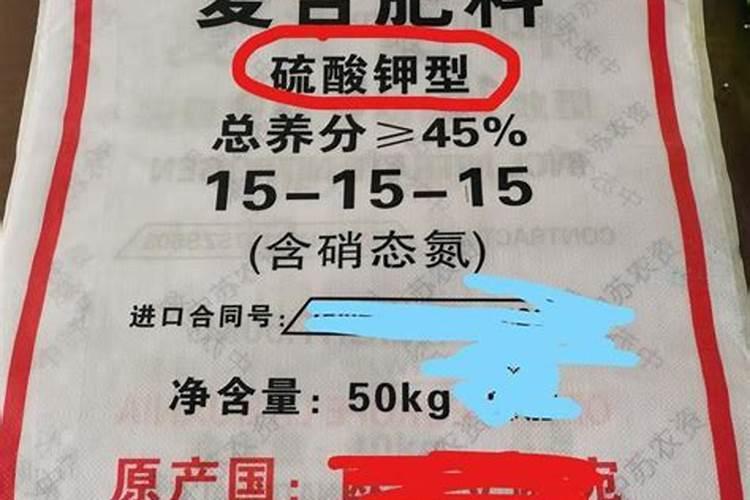 玉米滴灌种植施肥技术