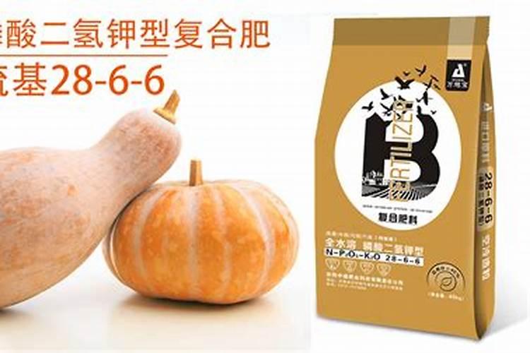 南瓜如何施肥才能高产多产？南瓜在不同生长期该怎样施肥？