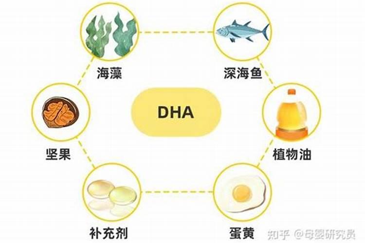 葡萄什么时间用鱼蛋白比较好？