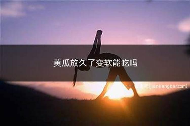 昙花施什么肥最好