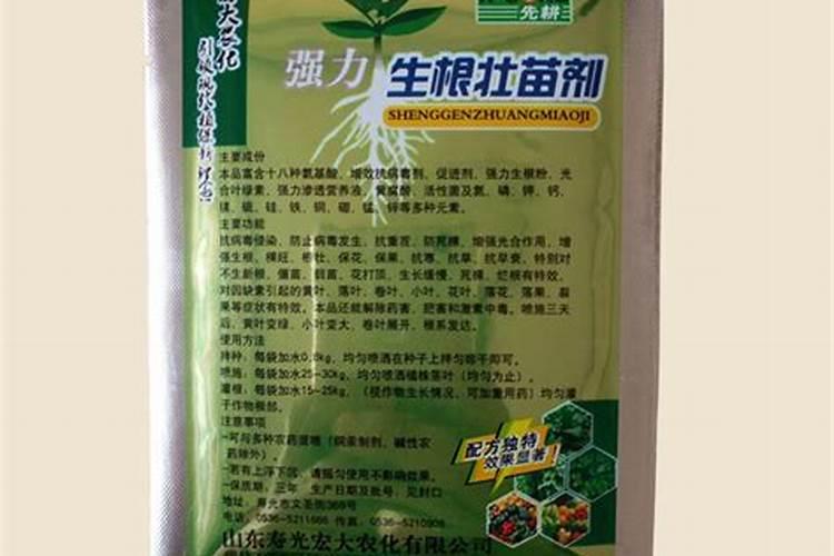 多肉怎么控养出状态