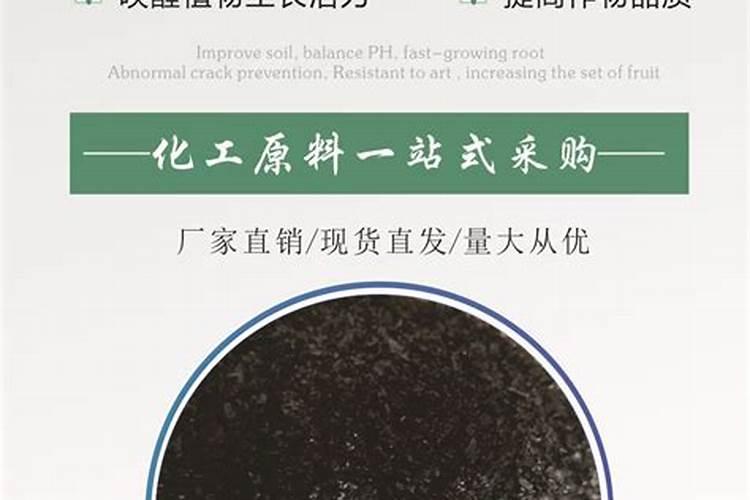 豆角的管理技术