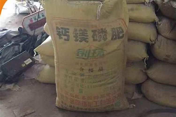 清香木烂根怎么处理,4个步骤教你完美处理烂根