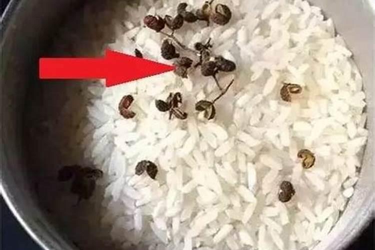 我家有个几斤大米长虫了,扔了怪可惜的,能当花肥吗